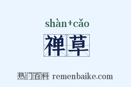 禅草是什么意思的图片